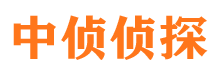 合山侦探公司